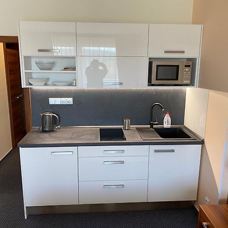 Apartmany Wellness Frymburk Εξωτερικό φωτογραφία