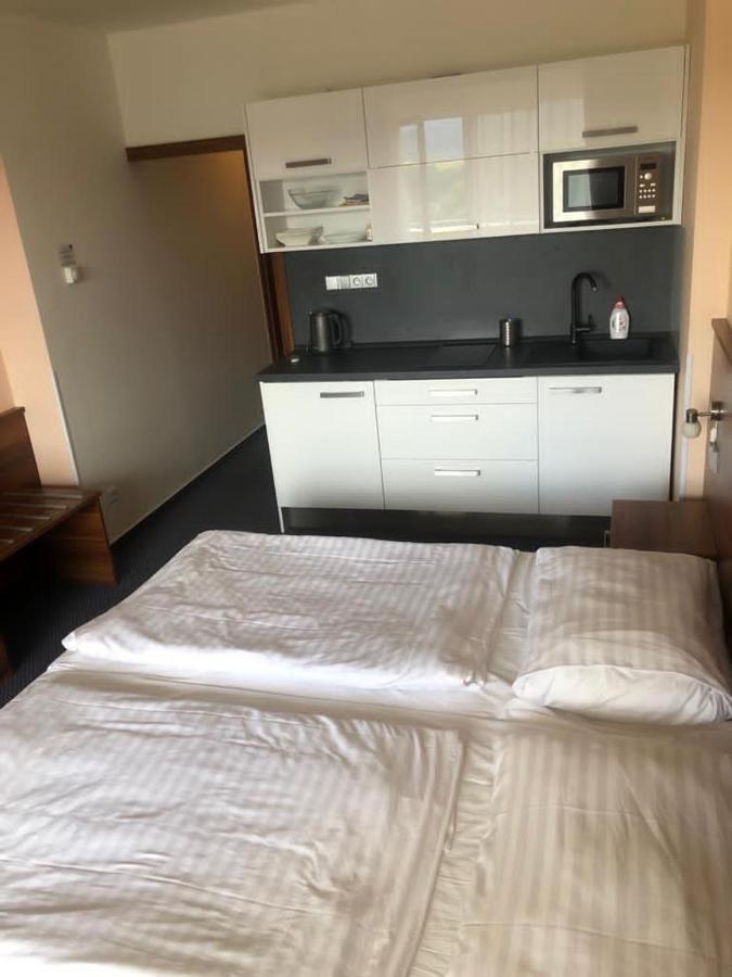 Apartmany Wellness Frymburk Εξωτερικό φωτογραφία