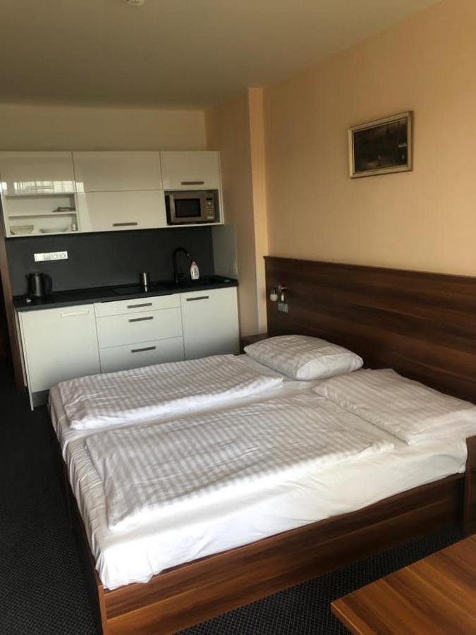 Apartmany Wellness Frymburk Εξωτερικό φωτογραφία